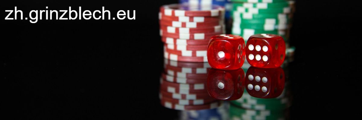 zh.grinzblech.eu